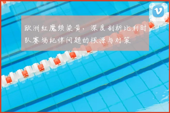 欧洲红魔频染黄,深度剖析比利时队赛场纪律问题的根源与对策